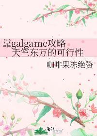 靠galagame攻略天竺东万的可能性TXT免费