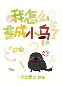 刀剑乱舞cp