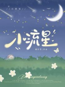 小流星歌曲