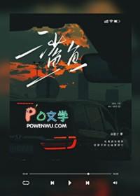 鲨鱼活动八月起急剧增加