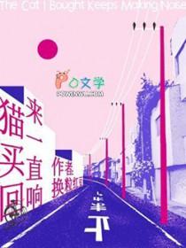 小猫买到家一直叫