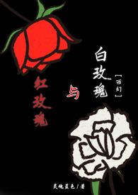 红玫瑰与白玫瑰男主角叫什么