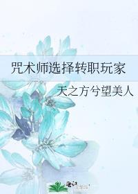 咒术师多少级转职