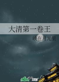 大清钱王免费阅读