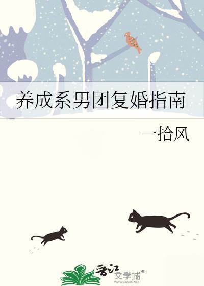 什么是养成系男团