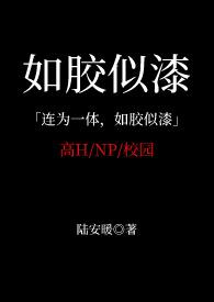 如胶似漆书包网