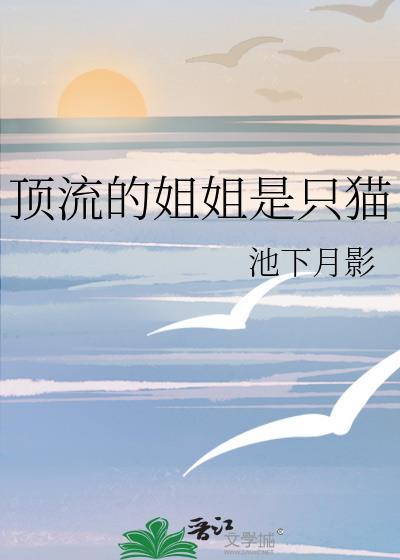 顶流的姐姐是只猫免费阅读全文