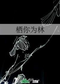 栖你为林gl秦淮洲