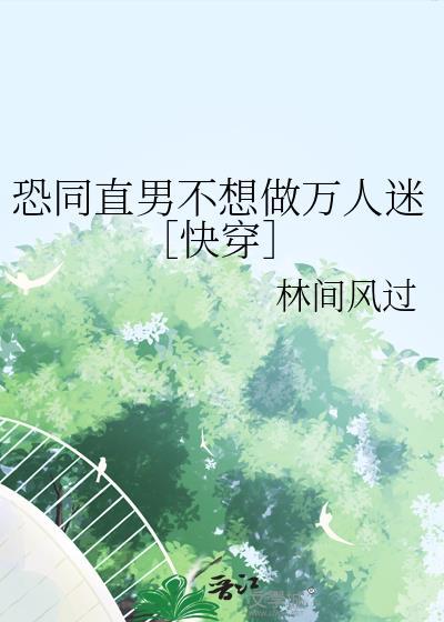 恐同直男不想做万人迷TXT百度