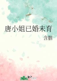 唐小姐已婚未育免费阅读txt