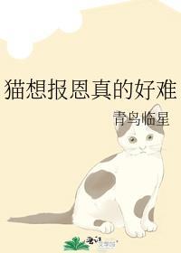 失控的明星