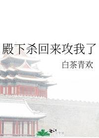 殿下来了主攻