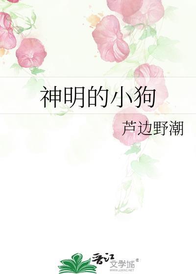 神明的小狗免费阅读