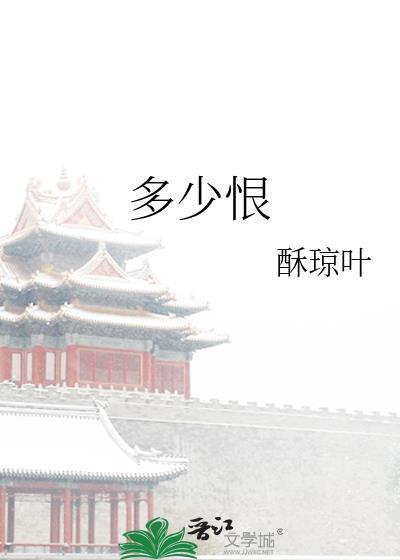 多少恨by酥琼叶讲的是什么