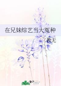 综艺兄妹节目