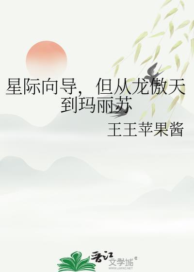 星际向导n