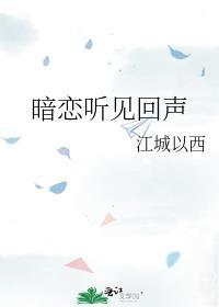 暗恋听见回声笔趣阁