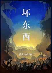 坏东西是指什么生肖