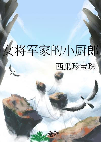 女将军家的小厨郎作者其他作品