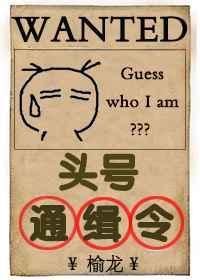 头号通缉令TXT全文