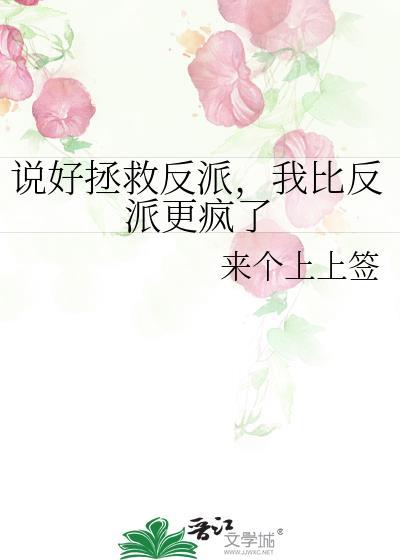 说好反派给我的格格党