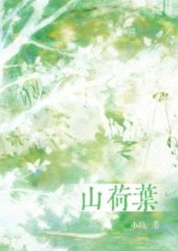 山荷叶花仙精灵王繁音