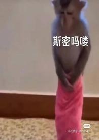 泡芙小姐是什么动画片