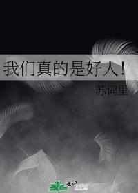 我们真的是好人!作者苏词里