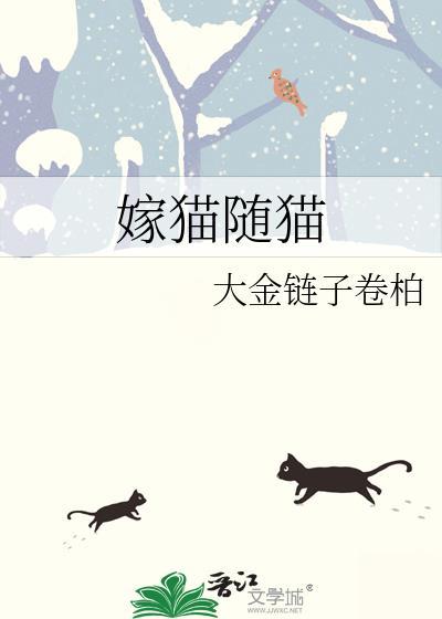 嫁猫猫文雅说法流行说法