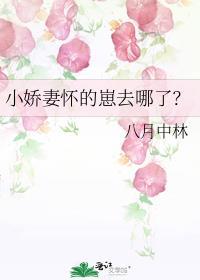 小娇妻怀的崽去哪了阅读