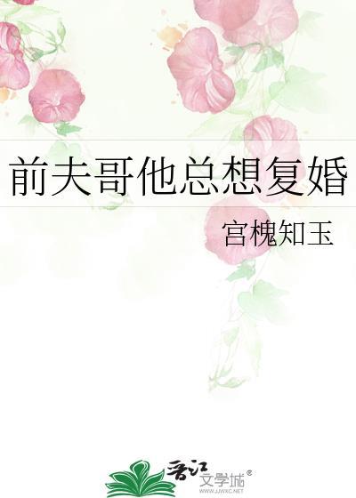 前夫哥他总想复婚百度