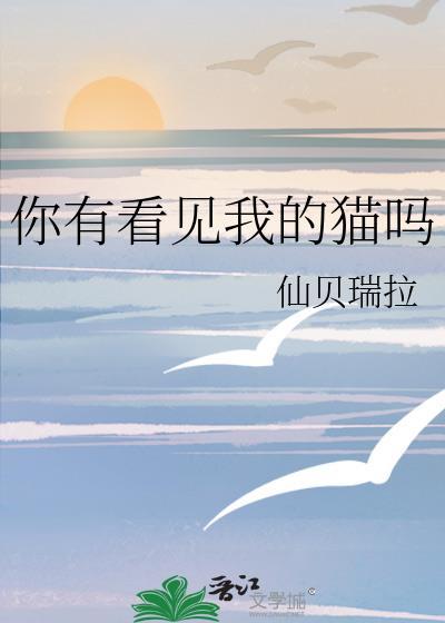 你有看见我的猫吗TXT百度