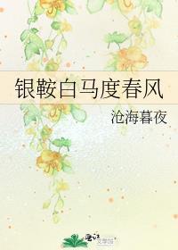 银鞍白马度春风番外一