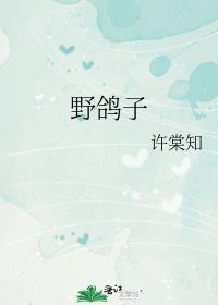 野鸽子在阳台做窝啥兆头