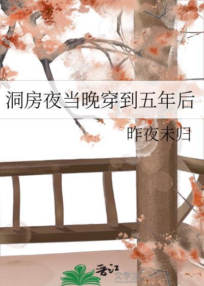 洞房夜穿越五年后合集