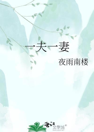 一夫一妻制是什么意思