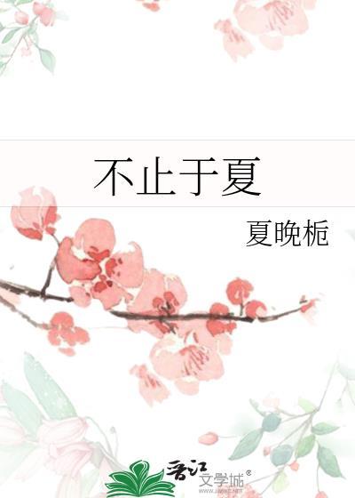 不止于夏讲的什么