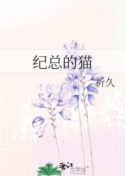 纪总的猫全文txt