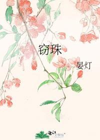 窃珠者贼