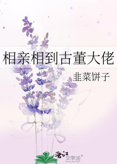 相亲相到古董大佬TXT免费阅读全文