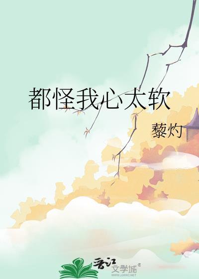 都怪我心太软心太软把所有问题一个人扛歌曲