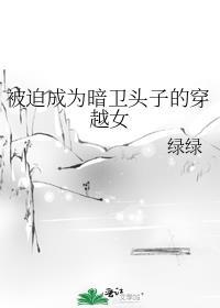 被暗卫