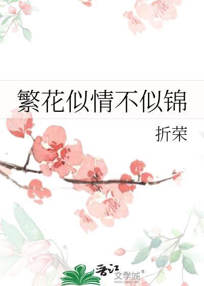 繁花似锦不休