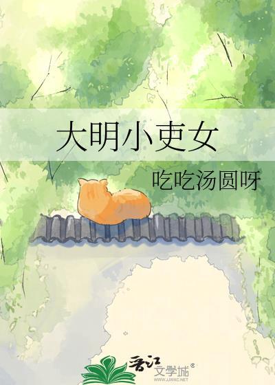 大明小婢男主是谁
