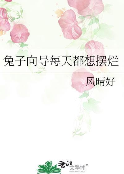 兔子总是