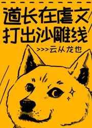 道长的推荐