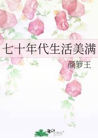 七十年代生活美满免费阅读