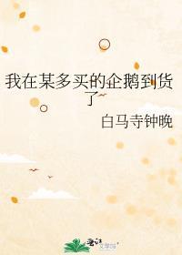 我在某多买的企鹅到货了作者白马寺钟晚