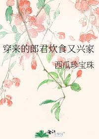 穿来的郎君炊食又兴家晋江