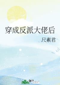 穿成反派大佬的 mirror